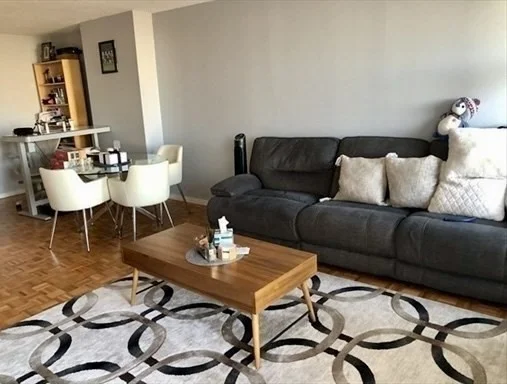 1 bed, 1 bath apartment for rent at 33 Pond Ave Unit 1007, Brookline Village — photo 3 of 22