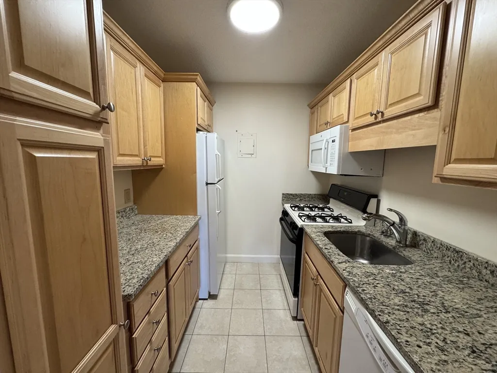 1 bed, 1 bath apartment for rent at 33 Pond Ave Unit 1010, Longwood — photo 4 of 20