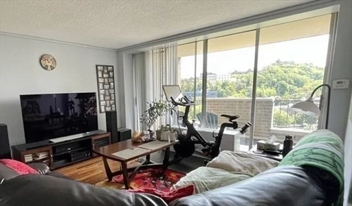 2 bed, 2 bath apartment for rent at 33 Pond Ave Unit 1019, Brookline — photo 8 of 32