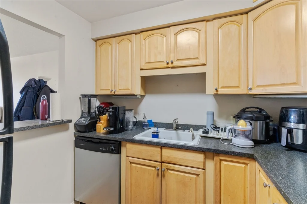 1 bed, 1 bath apartment for rent at 33 Pond Ave Unit 1102, Coolidge Corner — photo 3 of 15