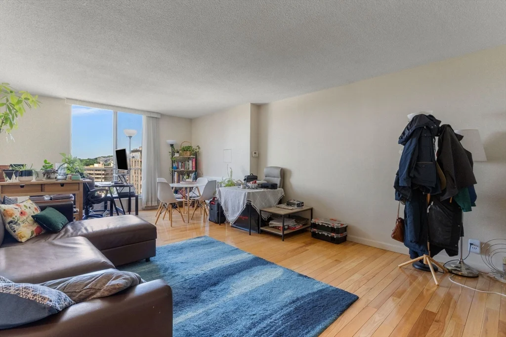 1 bed, 1 bath apartment for rent at 33 Pond Ave Unit 1102, Coolidge Corner — photo 5 of 15