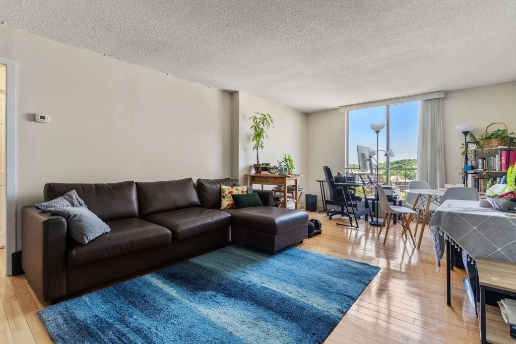 1 bed, 1 bath apartment for rent at 33 Pond Ave Unit 1102, Coolidge Corner — photo 10 of 15