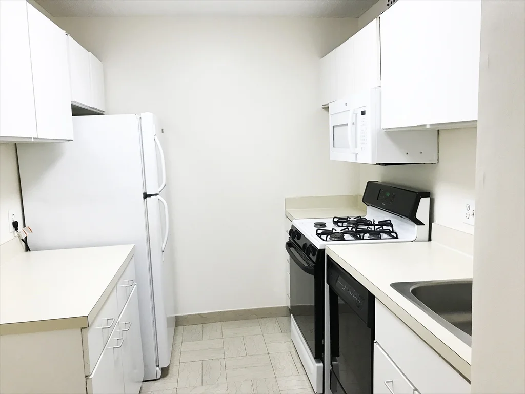 1 bed, 1 bath apartment for rent at 33 Pond Ave Unit 218, Brookline Village — photo 1 of 10