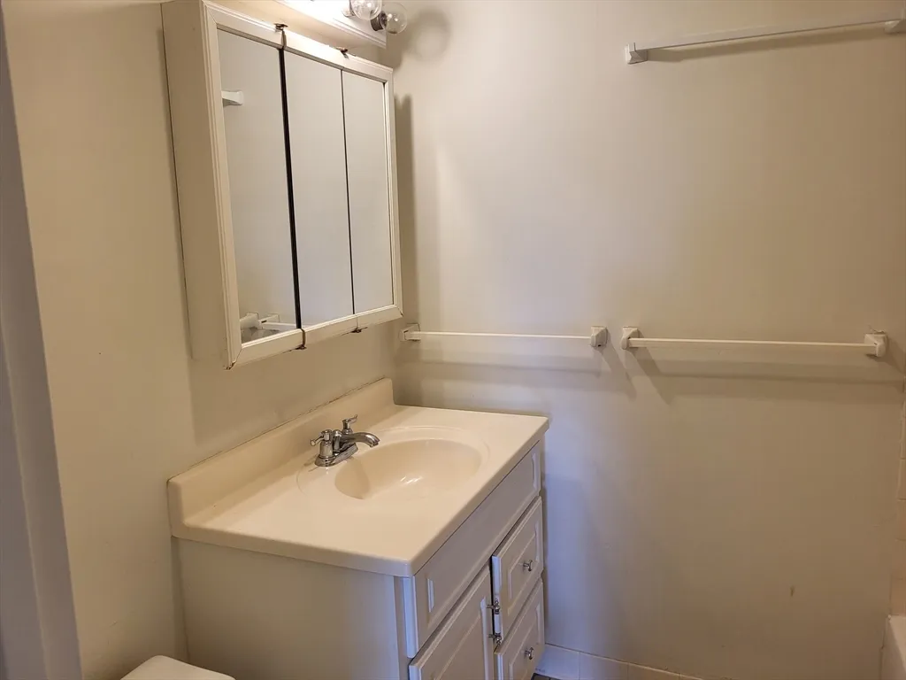 1 bed, 1 bath apartment for rent at 33 Pond Ave Unit 301, Brookline Village — photo 6 of 17