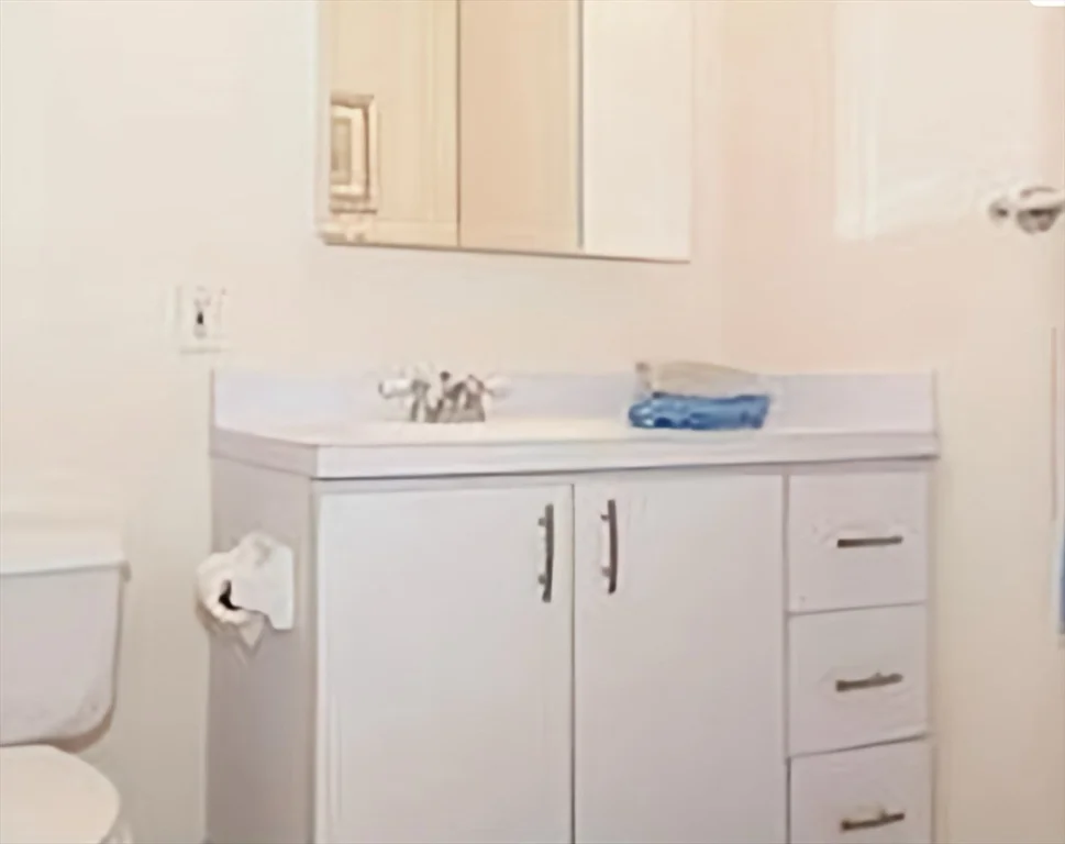 1 bed, 1 bath apartment for rent at 33 Pond Ave Unit 312, Coolidge Corner — photo 7 of 17