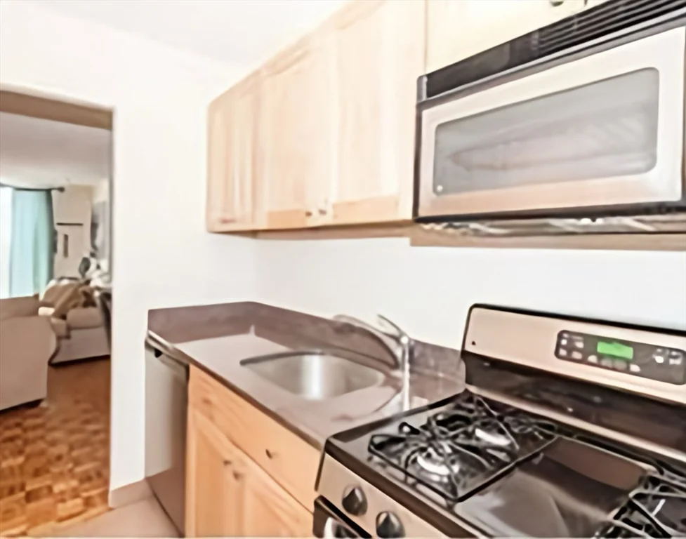 1 bed, 1 bath apartment for rent at 33 Pond Ave Unit 312, Coolidge Corner — photo 5 of 17