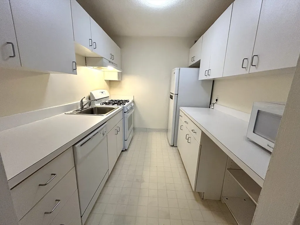 1 bed, 1 bath apartment for rent at 33 Pond Ave Unit 401, Brookline Village — photo 2 of 19