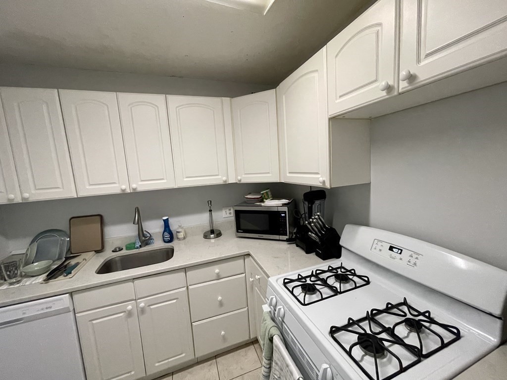 1 bed, 1 bath apartment for rent at 33 Pond Ave Unit 502, Brookline Village — photo 6 of 17