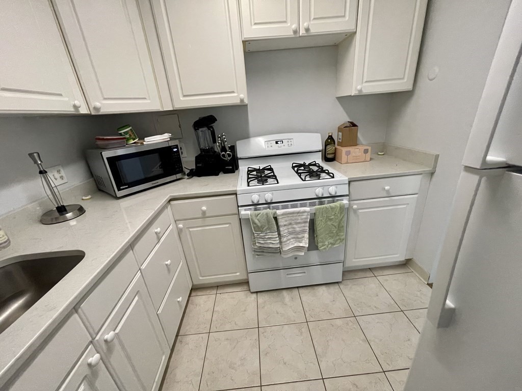 1 bed, 1 bath apartment for rent at 33 Pond Ave Unit 502, Brookline Village — photo 7 of 17