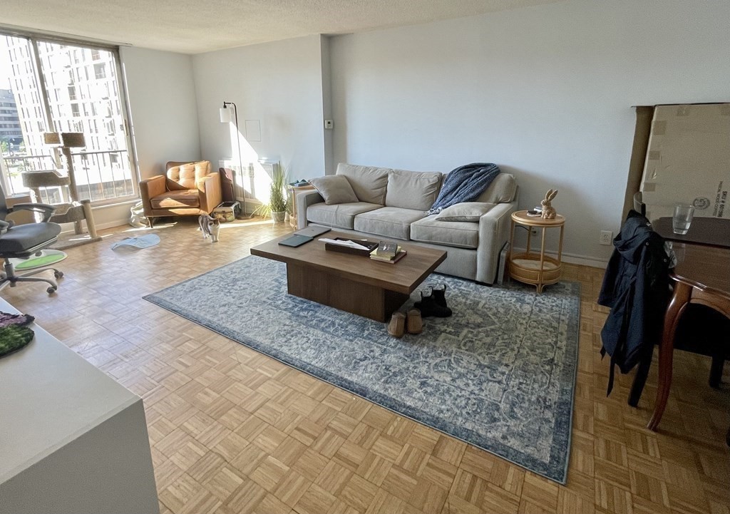 1 bed, 1 bath apartment for rent at 33 Pond Ave Unit 502, Brookline Village — photo 3 of 17
