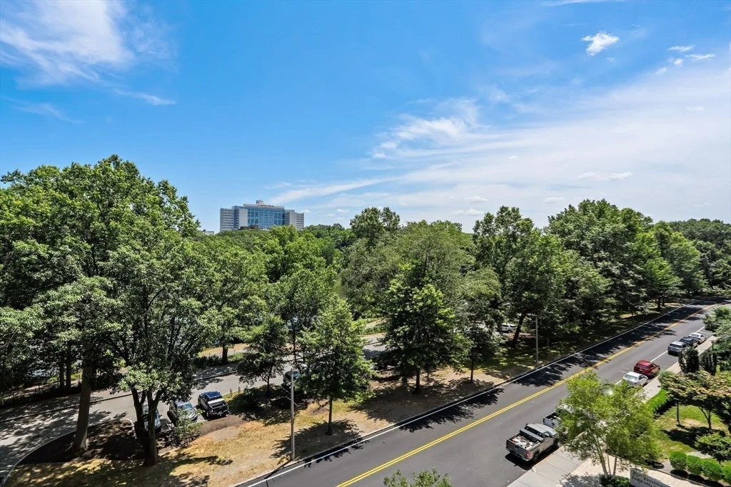 1 bed, 1 bath apartment for rent at 33 Pond Ave Unit 608, Brookline Village — photo 11 of 15