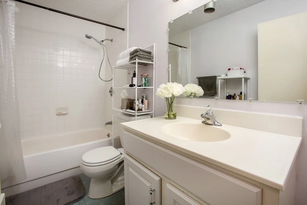 1 bed, 1 bath apartment for rent at 33 Pond Ave Unit 613, Brookline Village — photo 7 of 15