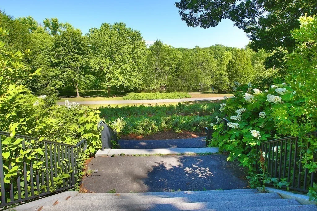 1 bed, 1 bath apartment for rent at 33 Pond Ave Unit 613, Brookline Village — photo 14 of 15