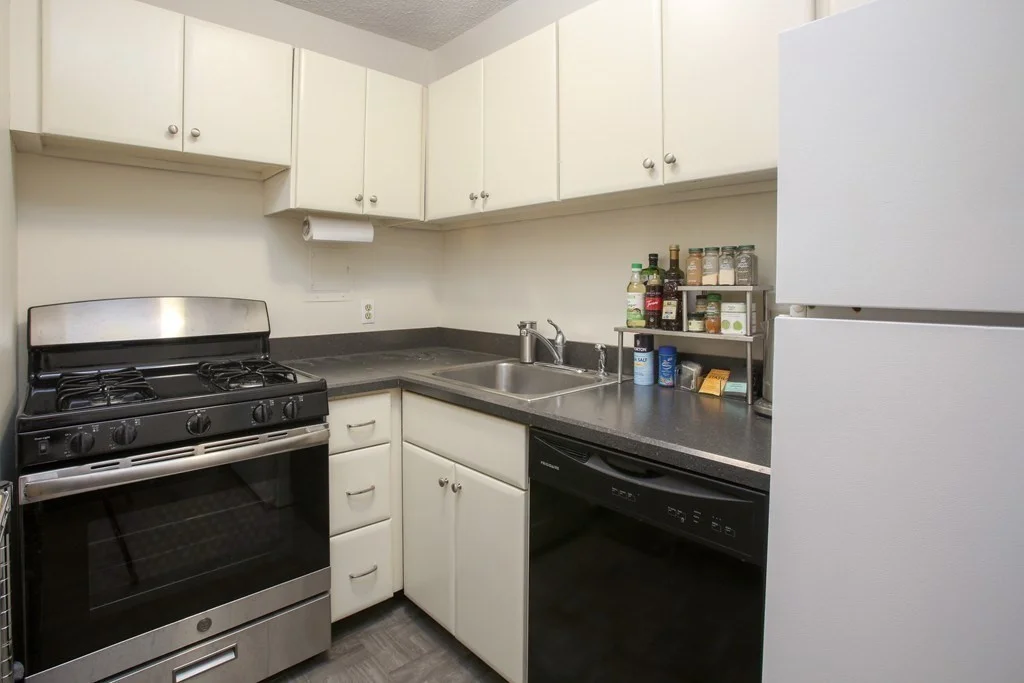 1 bed, 1 bath apartment for rent at 33 Pond Ave Unit 613, Brookline Village — photo 5 of 15