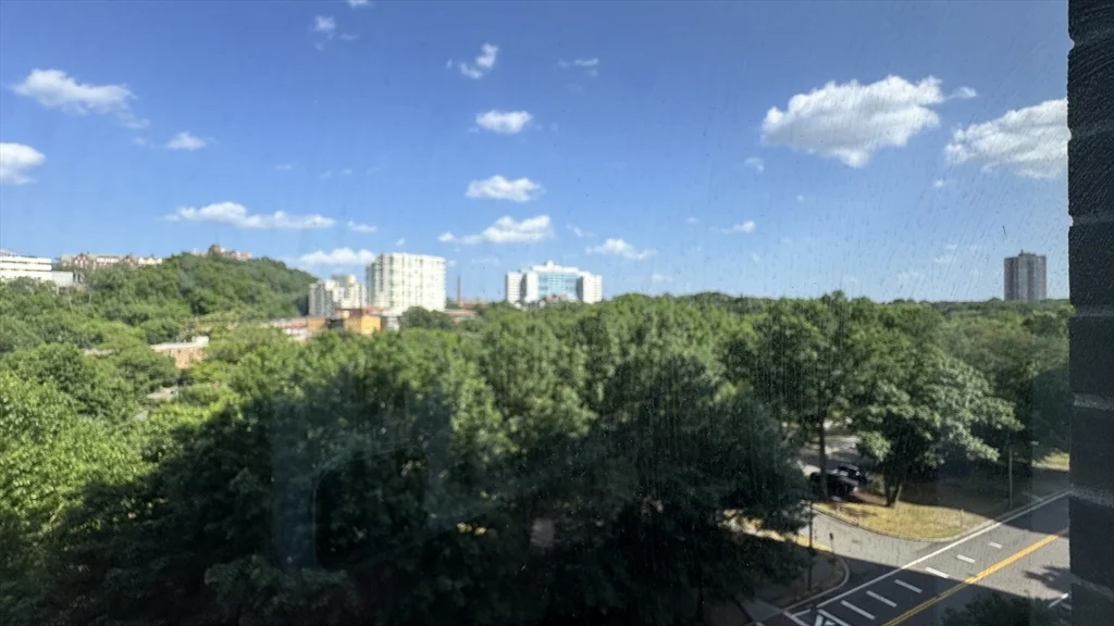1 bed, 1 bath apartment for rent at 33 Pond Ave Unit 813, Coolidge Corner — photo 4 of 11