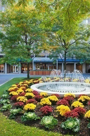 1 bed, 1 bath apartment for rent at 33 Pond Ave Unit 908, Brookline Village — photo 27 of 30