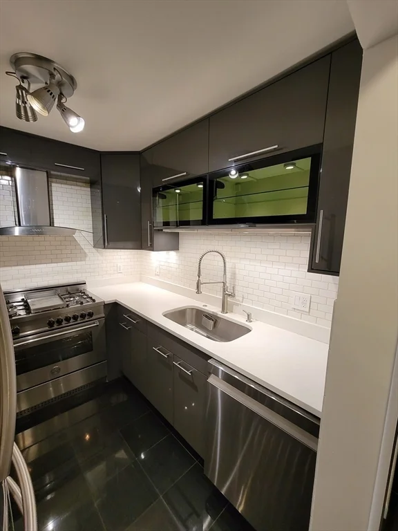 2 bed, 2 bath apartment for rent at 33 Pond Ave Unit 924, Coolidge Corner — photo 7 of 8