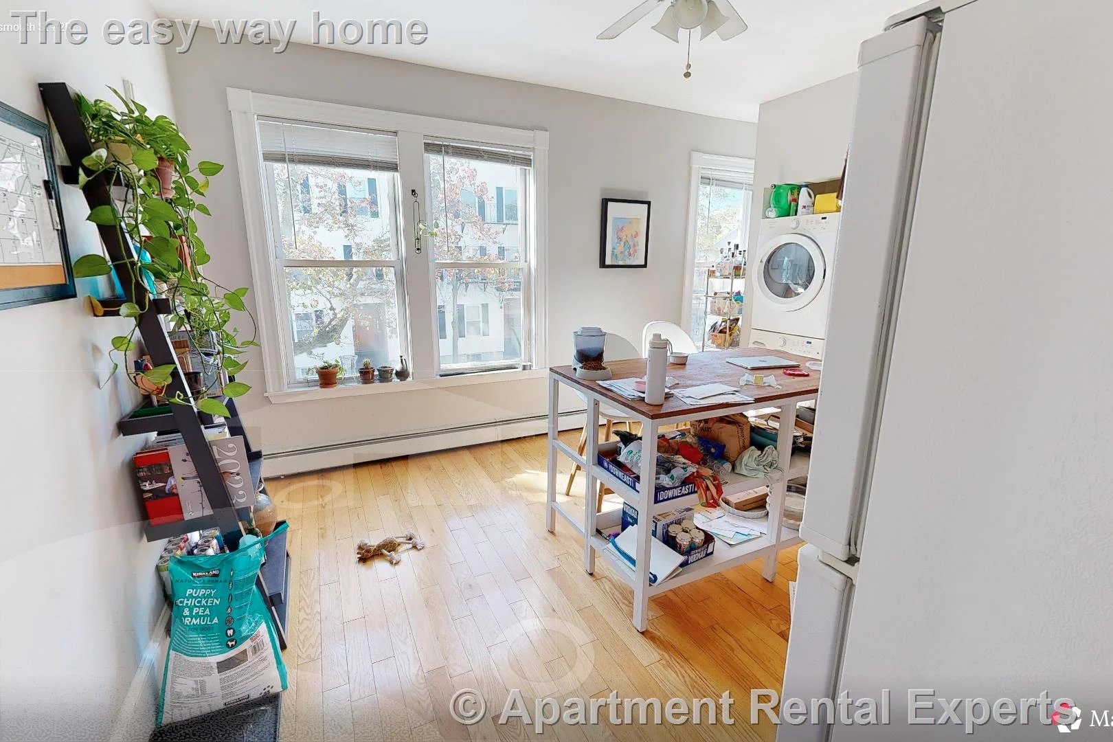 2 bed, 1 bath apartment for rent at 33 Portsmouth St Unit 2R, Kendall Square — photo 3 of 8