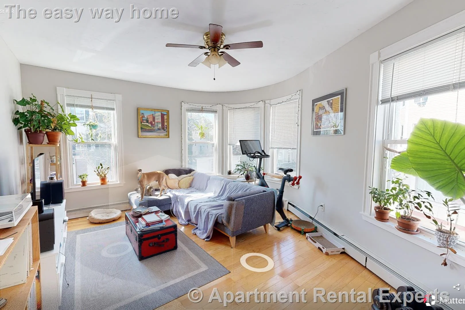 2 bed, 1 bath apartment for rent at 33 Portsmouth St Unit 2R, Kendall Square — photo 4 of 8