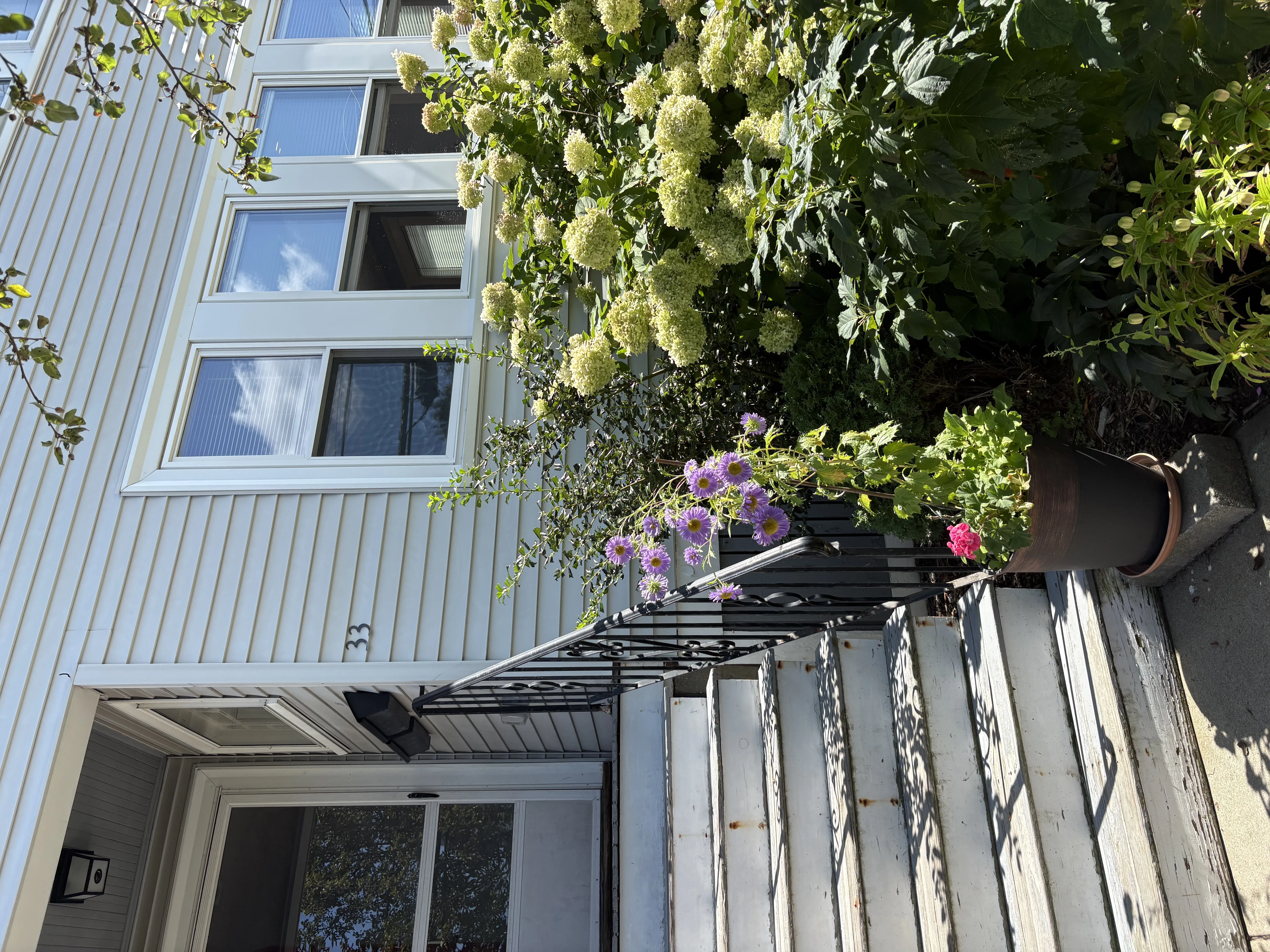 2 bed, 1 bath apartment for rent at 33 Prentiss St , Unit 1st Fl, Watertown — photo 34 of 36