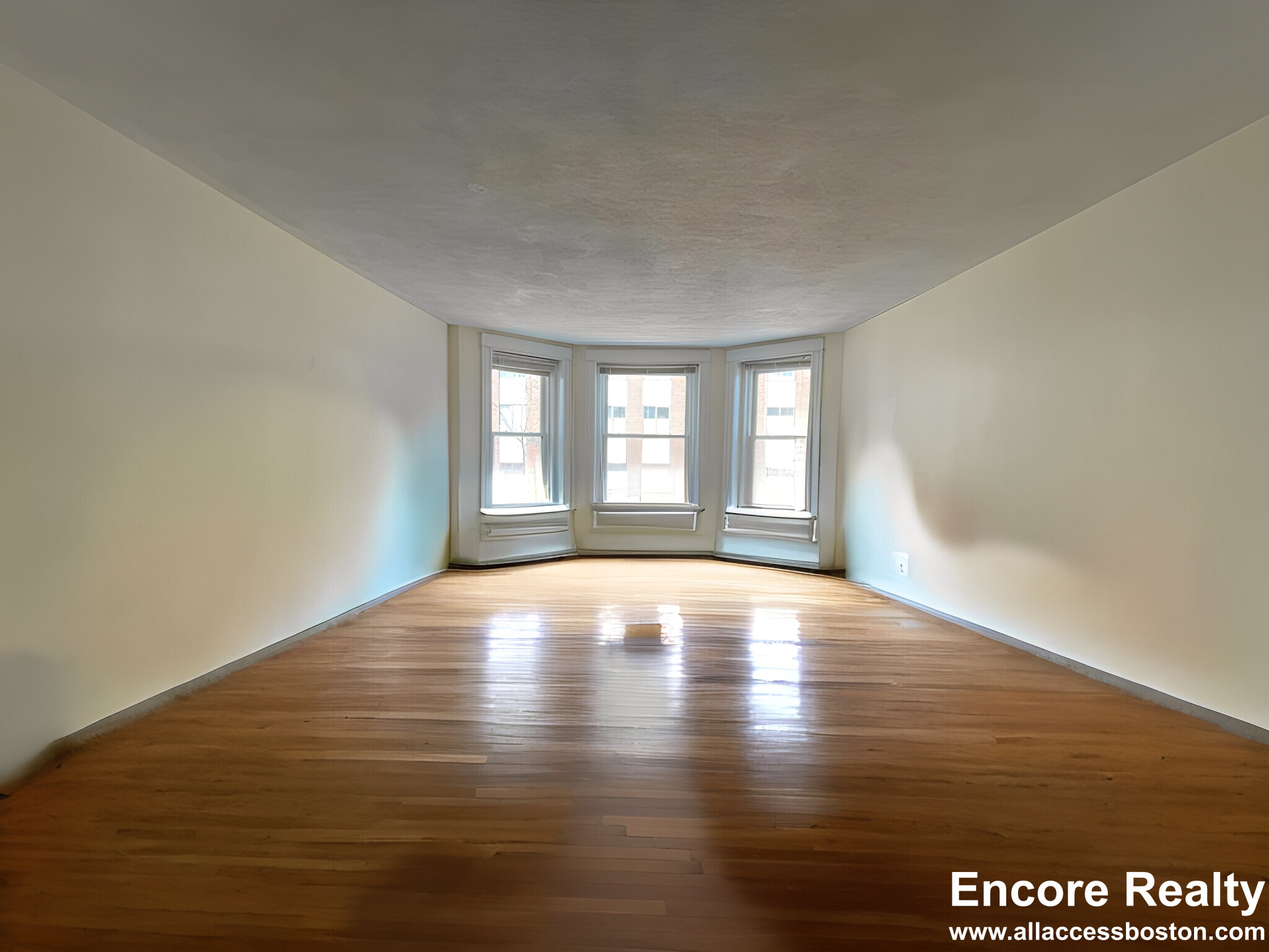2 bed, 1 bath apartment for rent at 33 Stearns Rd Unit 3A, Coolidge Corner — photo 5 of 10