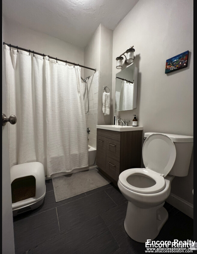 1 bed, 1 bath apartment for rent at 33 Stearns Rd Unit 3B, Coolidge Corner — photo 12 of 19