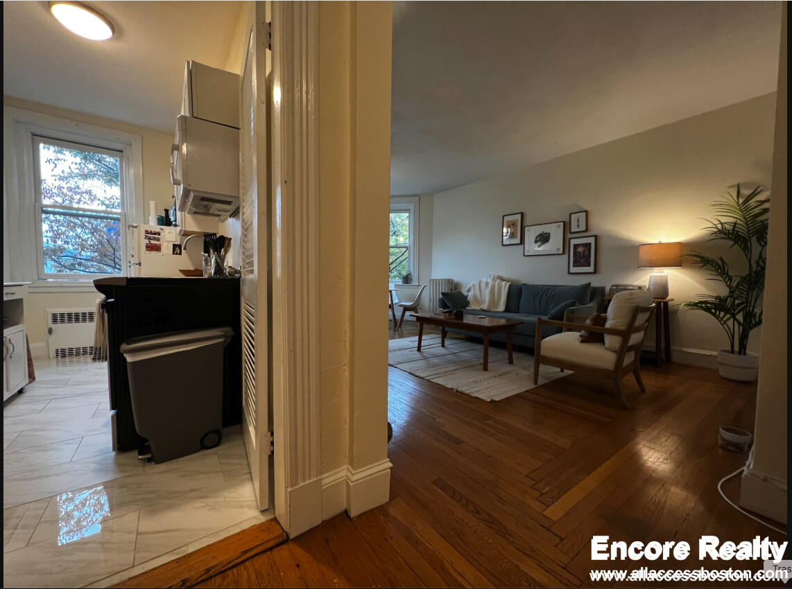 1 bed, 1 bath apartment for rent at 33 Stearns Rd Unit 3B, Coolidge Corner — photo 4 of 19