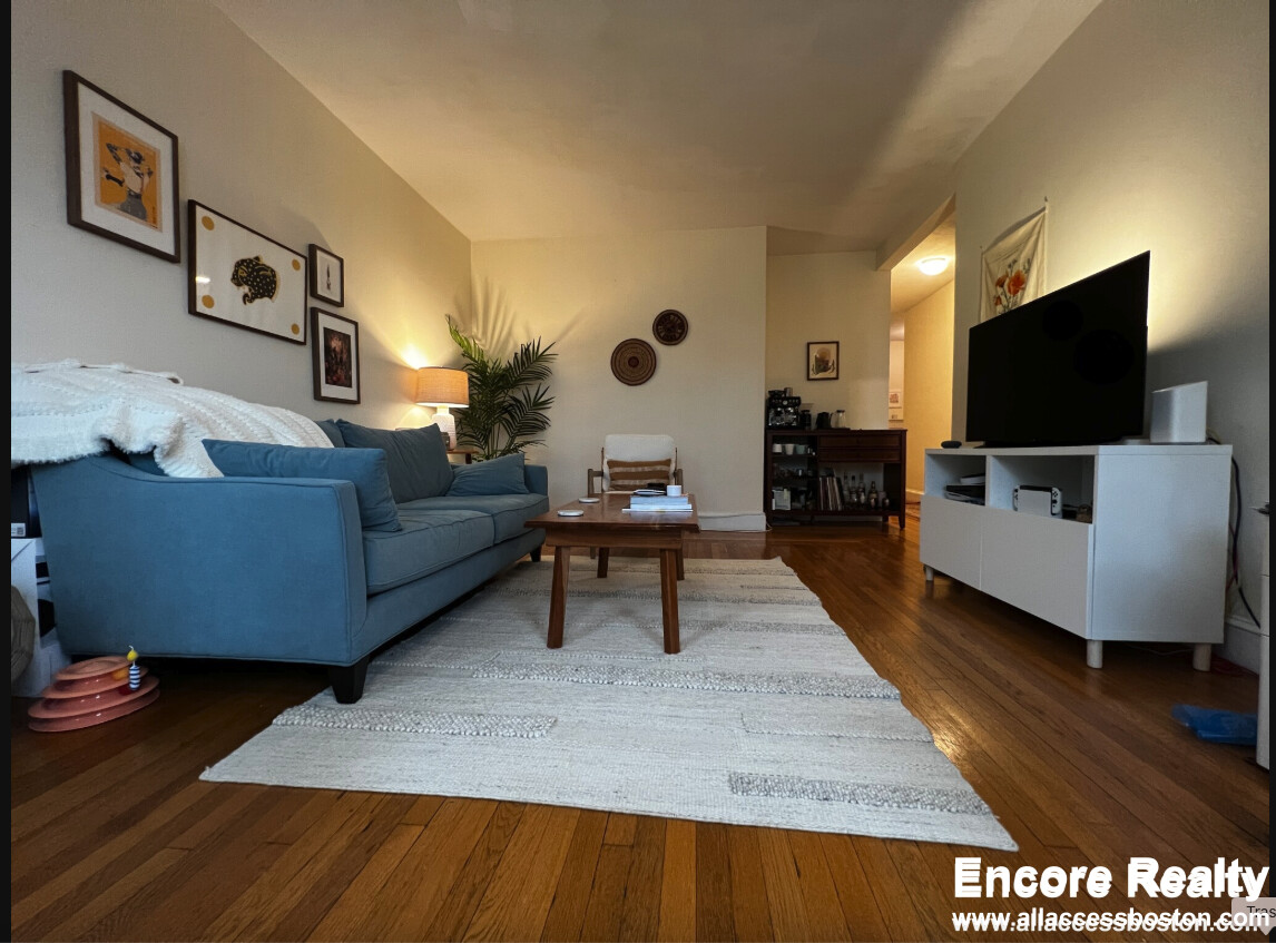 1 bed, 1 bath apartment for rent at 33 Stearns Rd Unit 3B, Coolidge Corner — photo 3 of 19