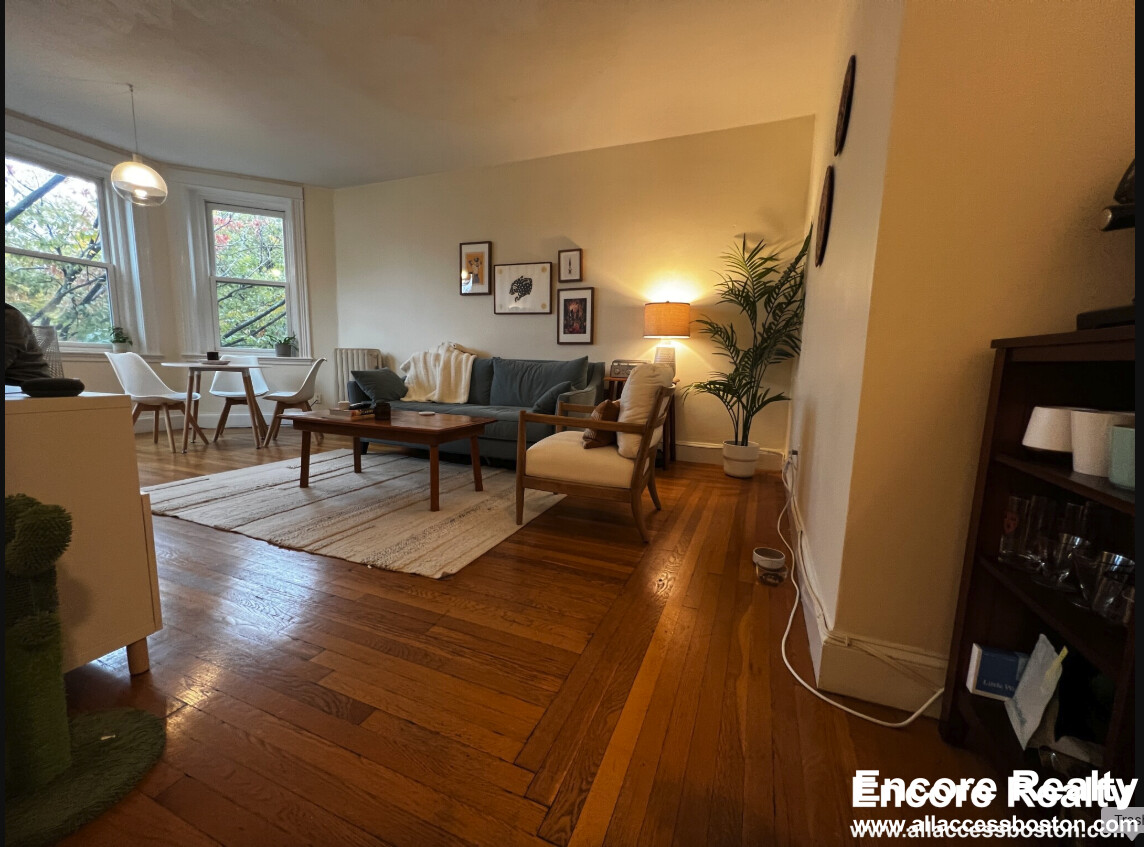 1 bed, 1 bath apartment for rent at 33 Stearns Rd Unit 3B, Coolidge Corner — photo 2 of 19