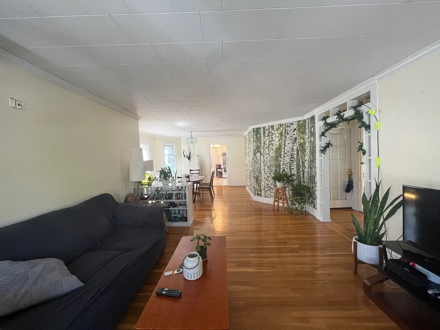 4 bed, 2 bath apartment for rent at 33 Winslow Ave Unit 2A, Davis Square — photo 2 of 19
