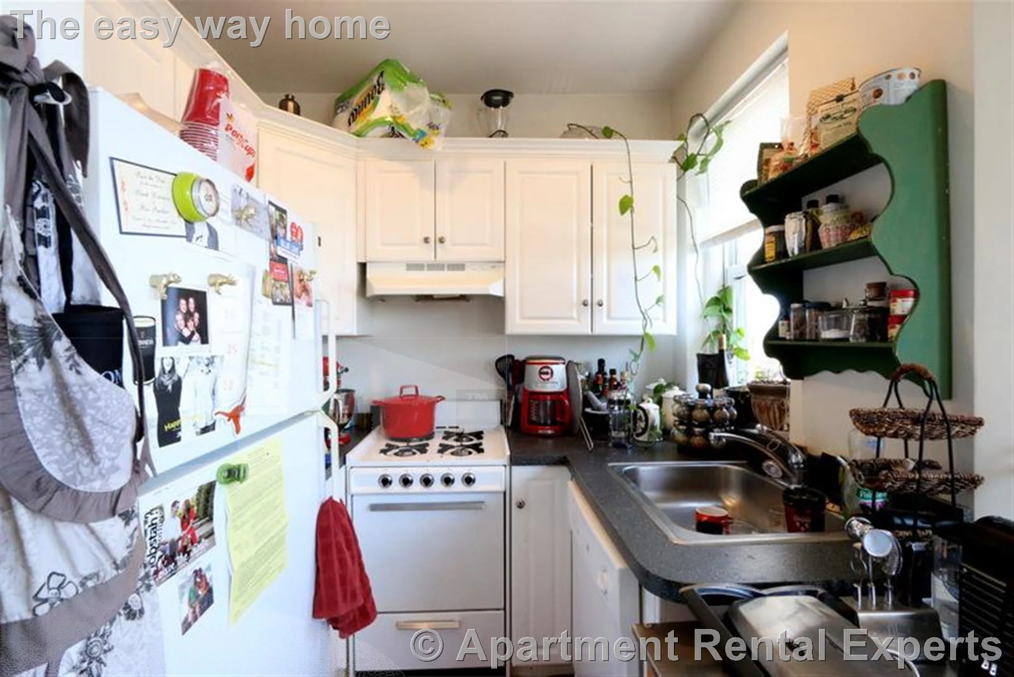 2 bed, 1 bath apartment for rent at 331 Harvard St Unit 15, Harvard Square — photo 5 of 17