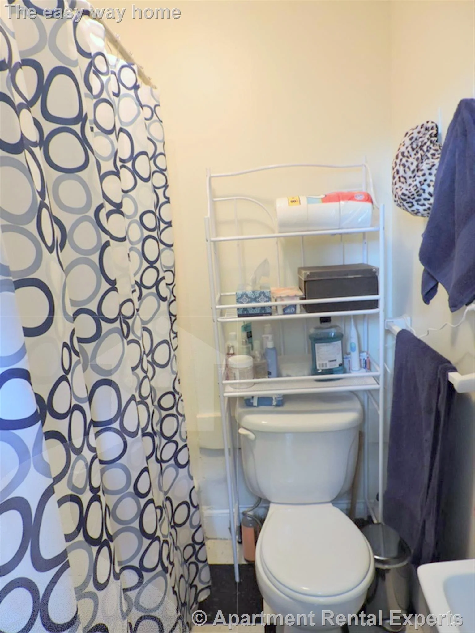 1 bed, 1 bath apartment for rent at 331 Harvard St Unit B1, Harvard Square — photo 19 of 23