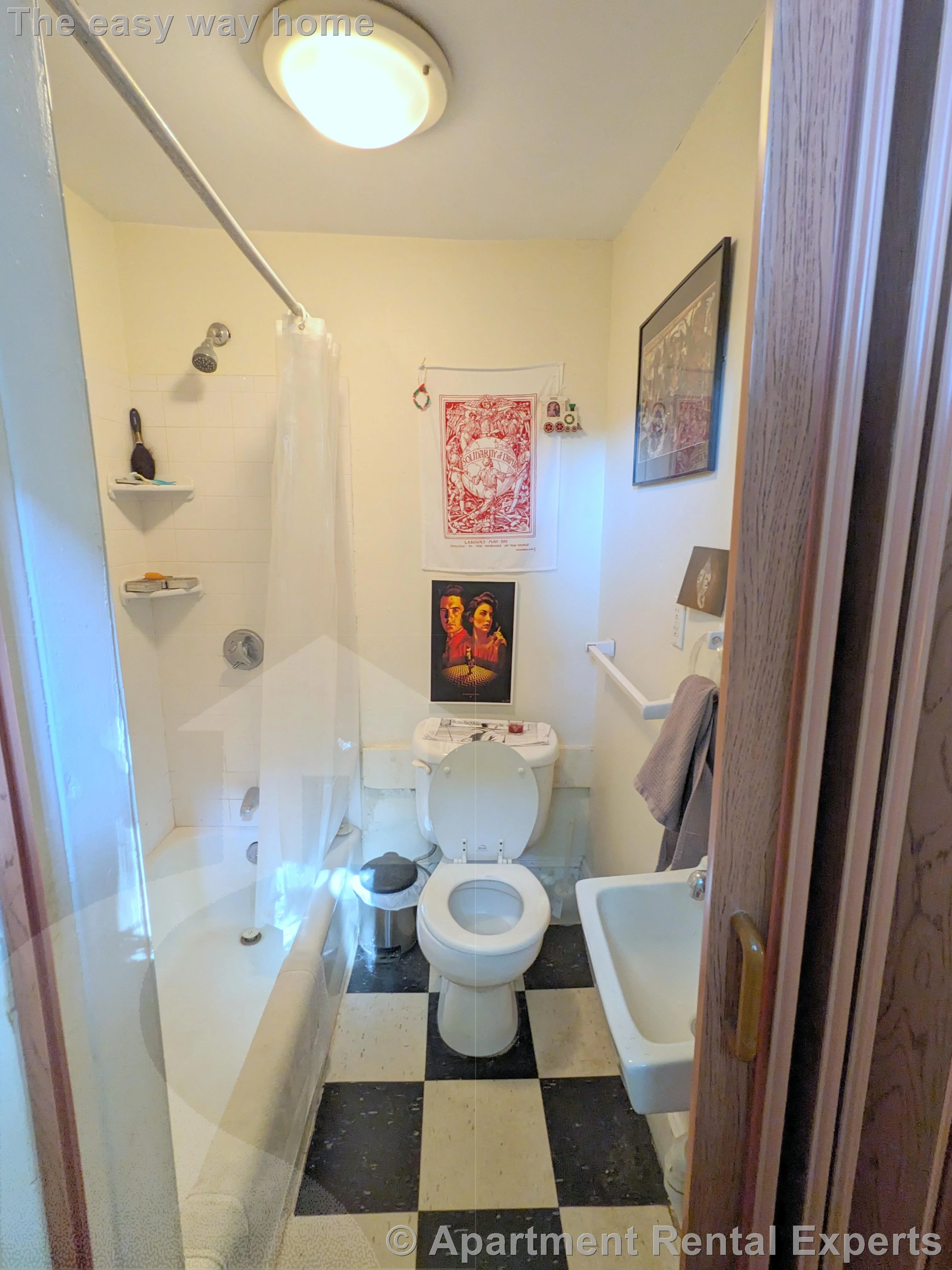 1 bed, 1 bath apartment for rent at 331 Harvard St Unit B1, Harvard Square — photo 7 of 23