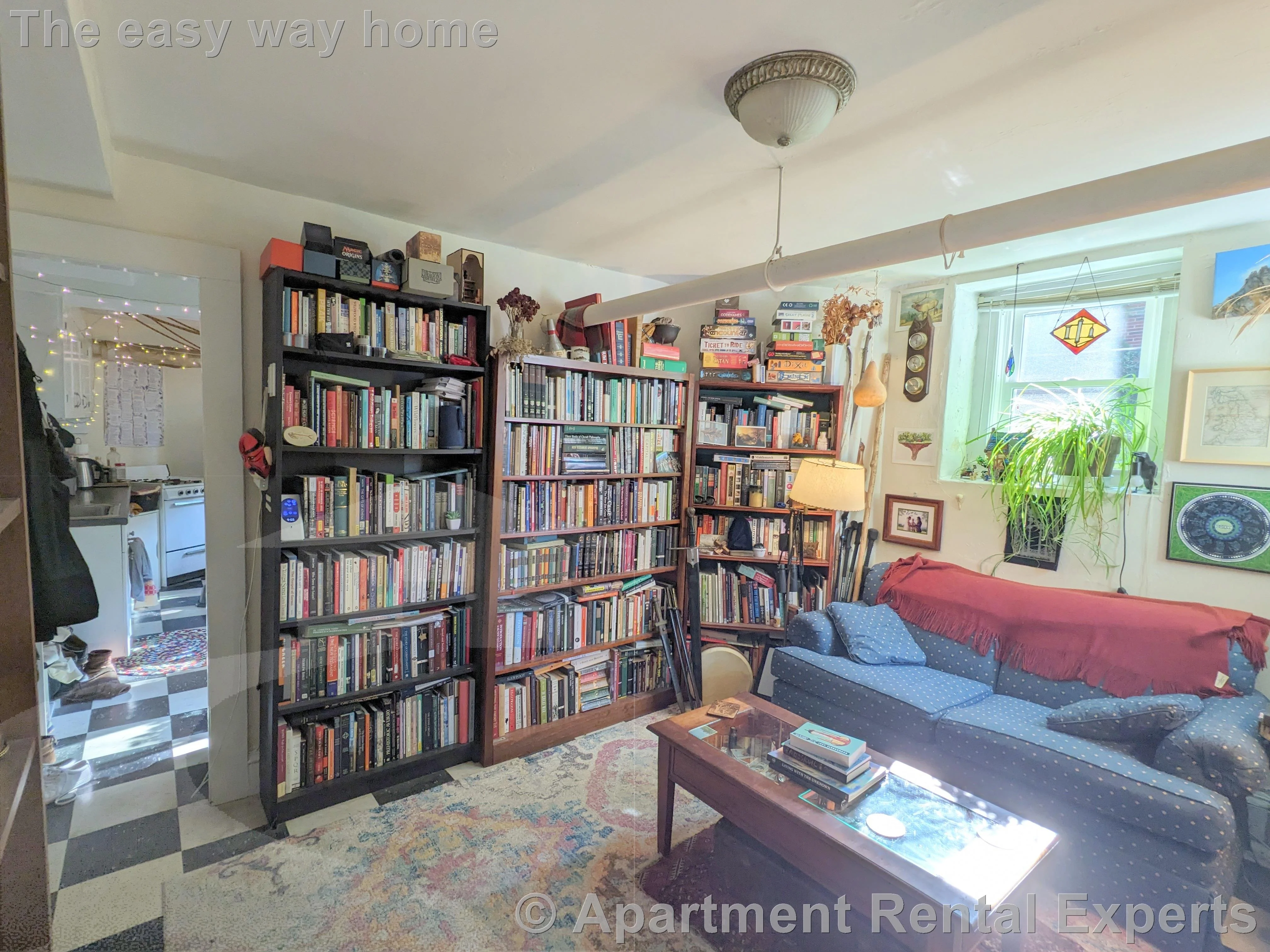 1 bed, 1 bath apartment for rent at 331 Harvard St Unit B1, Harvard Square — photo 2 of 23