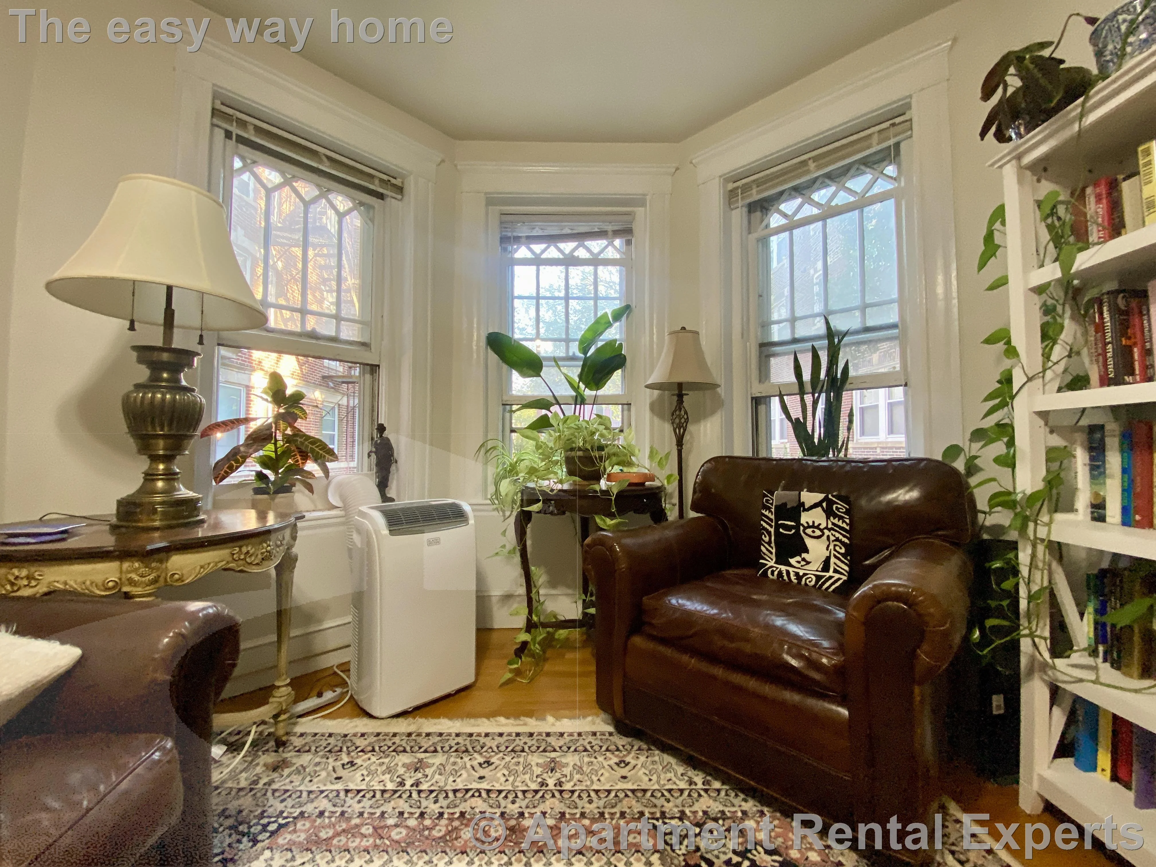 1 bed, 1 bath apartment for rent at 331A Harvard St Unit 1, Harvard Square — photo 3 of 10