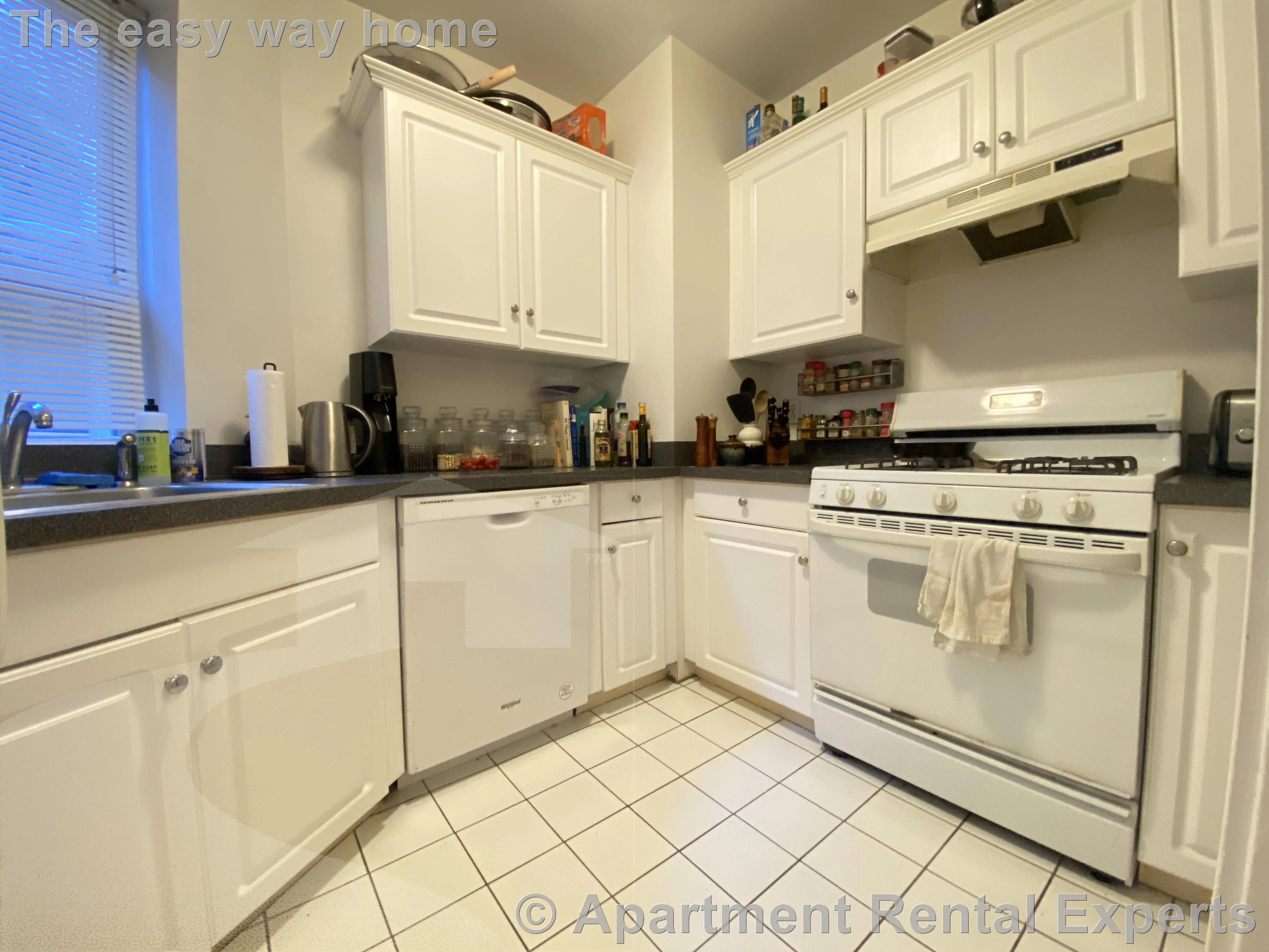 1 bed, 1 bath apartment for rent at 331A Harvard St Unit 1, Harvard Square — photo 5 of 10