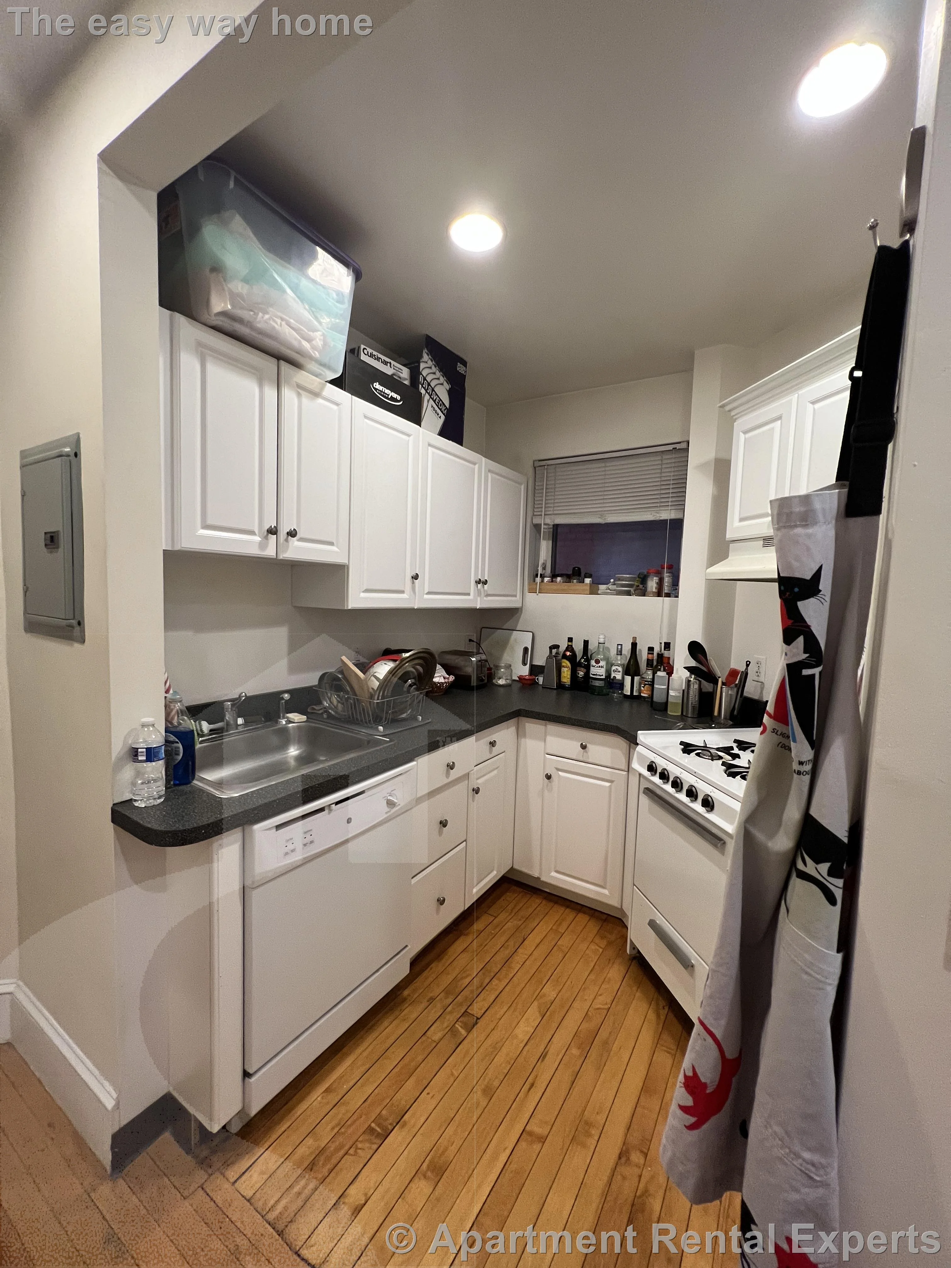 1 bed, 1 bath apartment for rent at 331A Harvard St Unit 2, Harvard Square — photo 5 of 12