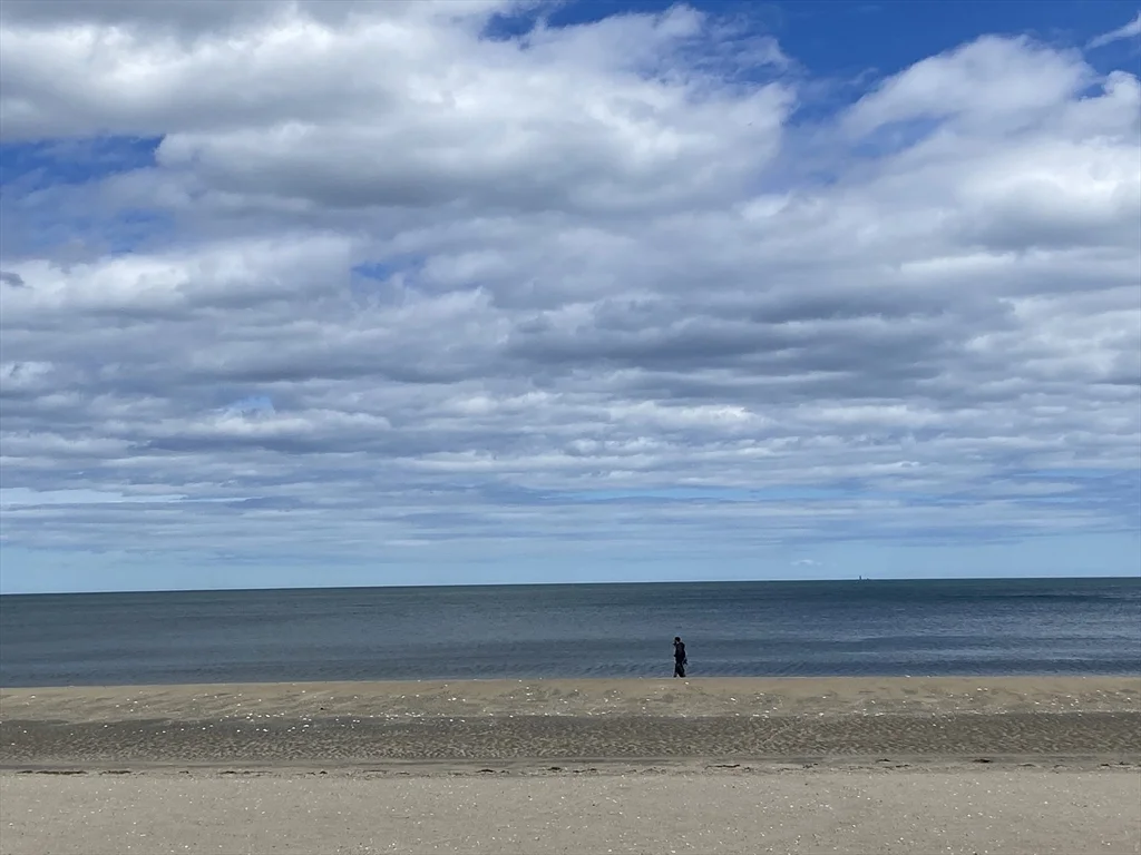 1 bed, 1 bath apartment for rent at 332 Revere Beach Blvd Unit 4, Revere — photo 9 of 10