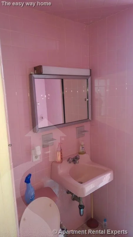 3 bed, 1 bath apartment for rent at 333 Alewife Brook Pkwy Unit 2, Tufts — photo 9 of 12