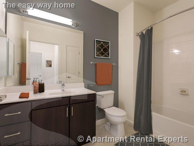 2 bed, 2 bath apartment for rent at 333 Great River Rd Unit 2 Bed, Sullivan Square — photo 4 of 20