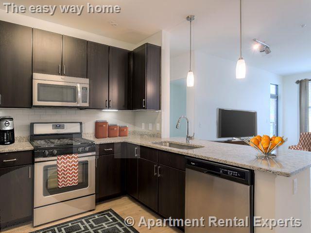 2 bed, 2 bath apartment for rent at 333 Great River Rd Unit 2 Bed, Sullivan Square — photo 2 of 20
