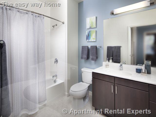 2 bed, 2 bath apartment for rent at 333 Great River Rd Unit 2 Bed, Sullivan Square — photo 10 of 20