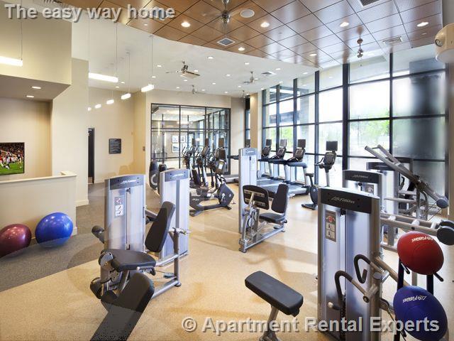 3 bed, 2 bath apartment for rent at 333 Great River Rd Unit 3 Bed, Sullivan Square — photo 12 of 20