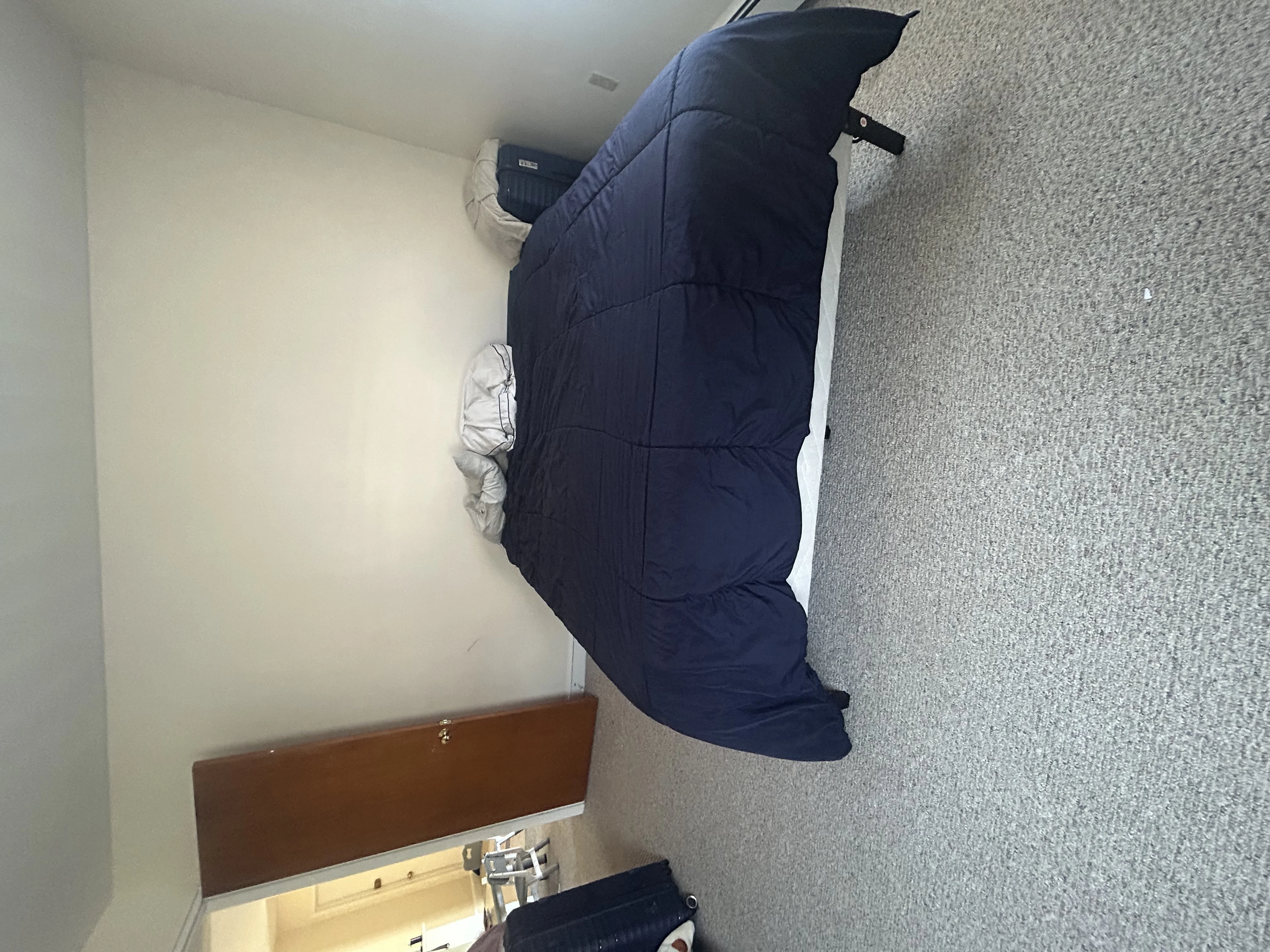 1 bed, 1 bath apartment for rent at 333 Massachusetts Ave Unit 11, Arlington — photo 13 of 14