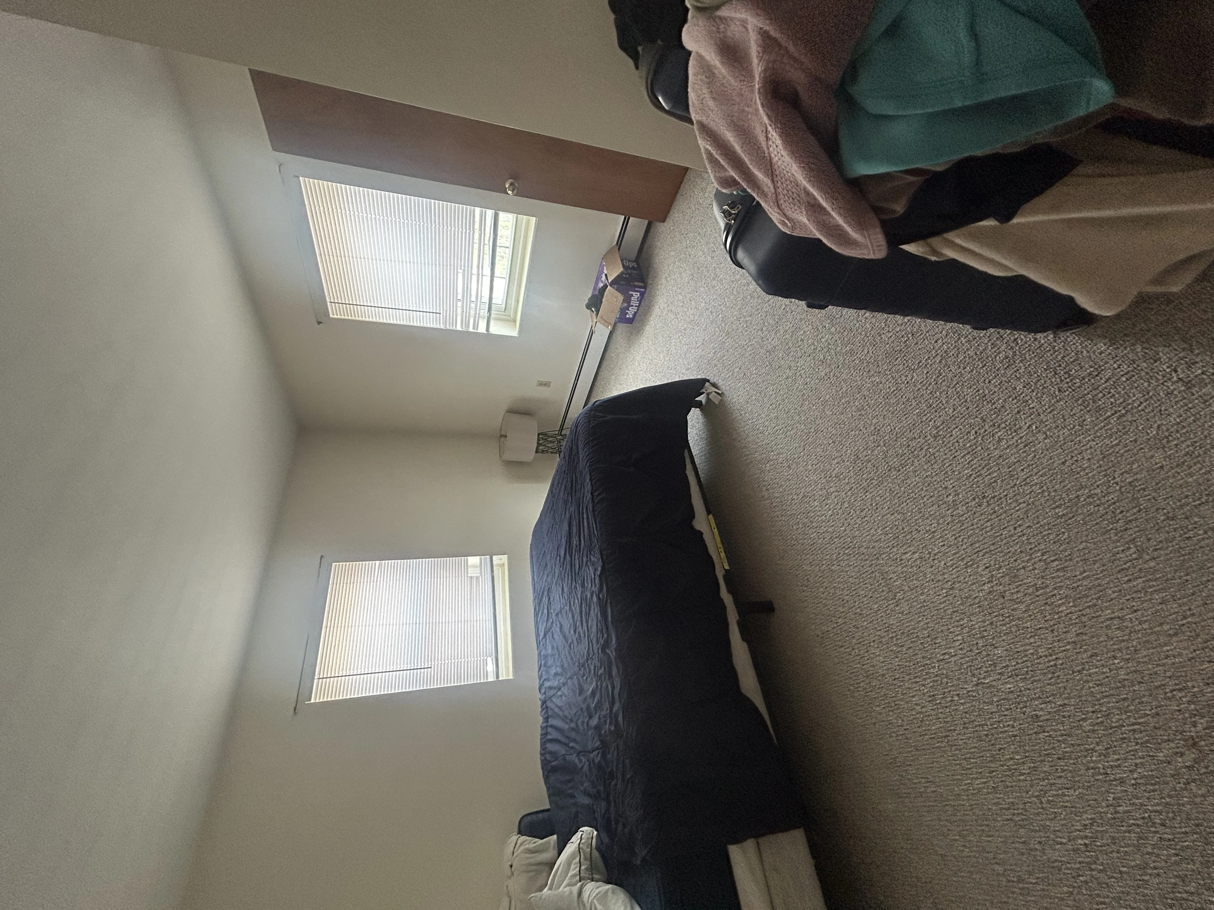 1 bed, 1 bath apartment for rent at 333 Massachusetts Ave Unit 11, Arlington — photo 11 of 14