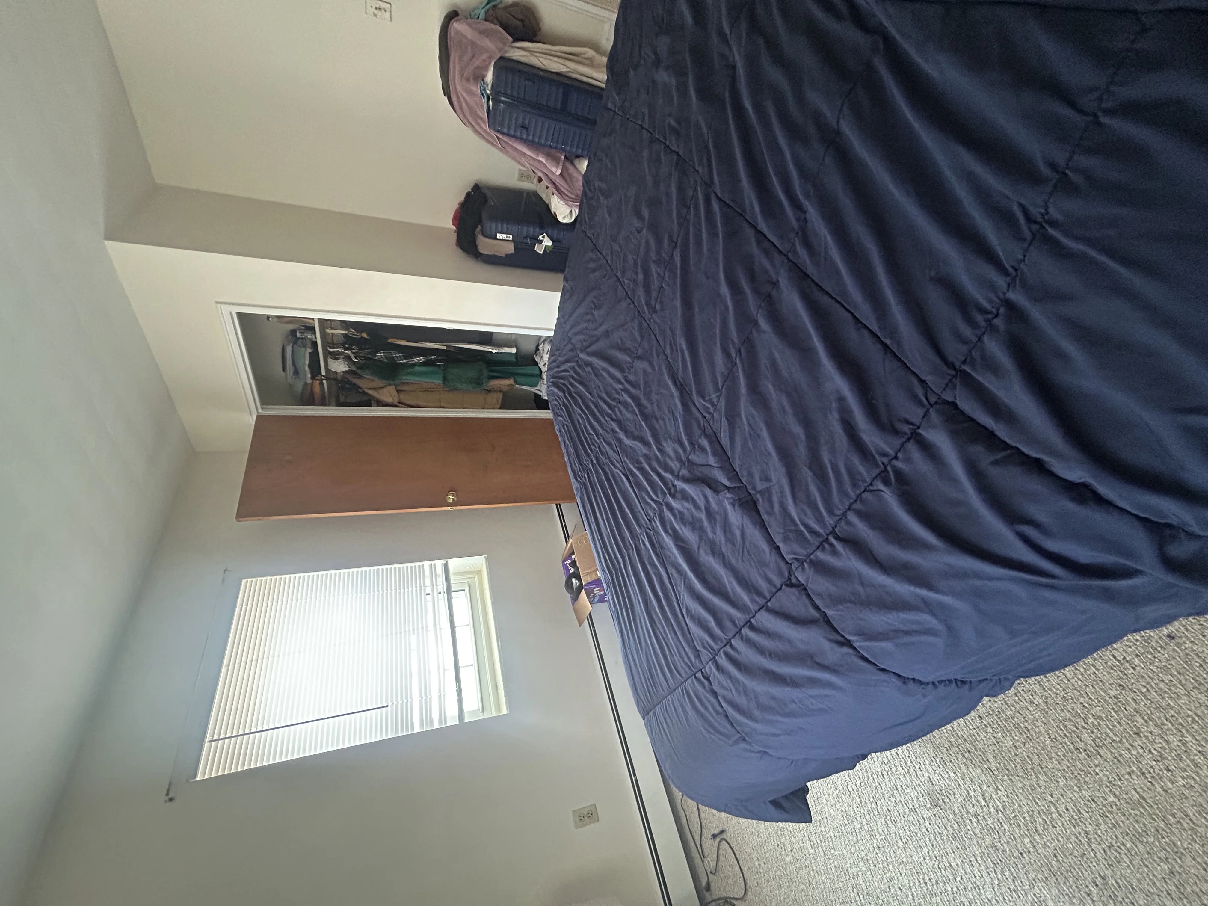 1 bed, 1 bath apartment for rent at 333 Massachusetts Ave Unit 11, Arlington — photo 12 of 14
