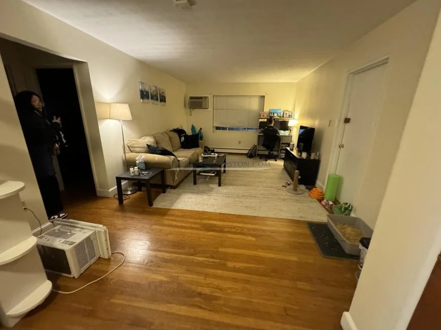 1 bed, 1 bath apartment for rent at 333 Massachusetts Ave Unit 8, Arlington — photo 3 of 8
