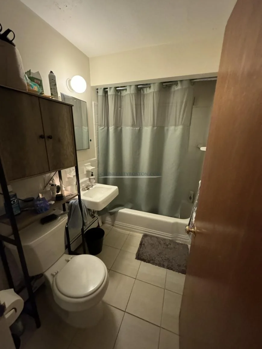 1 bed, 1 bath apartment for rent at 333 Massachusetts Ave Unit 8, Arlington — photo 7 of 8