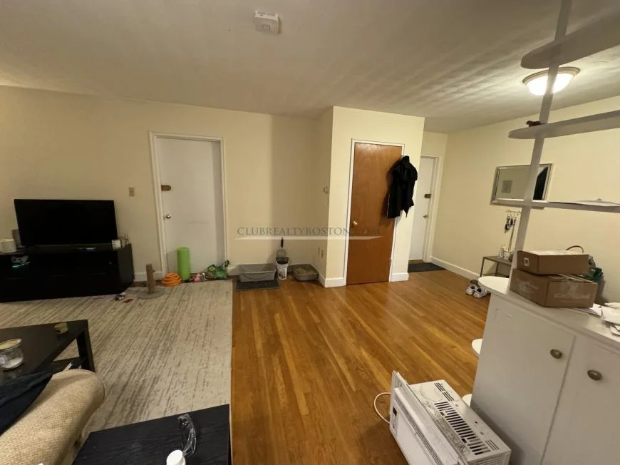 1 bed, 1 bath apartment for rent at 333 Massachusetts Ave Unit 8, Arlington — photo 5 of 8