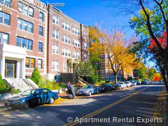 1 bed, 1 bath apartment for rent at 335A Harvard St Unit 12, Harvard Square — photo 10 of 10